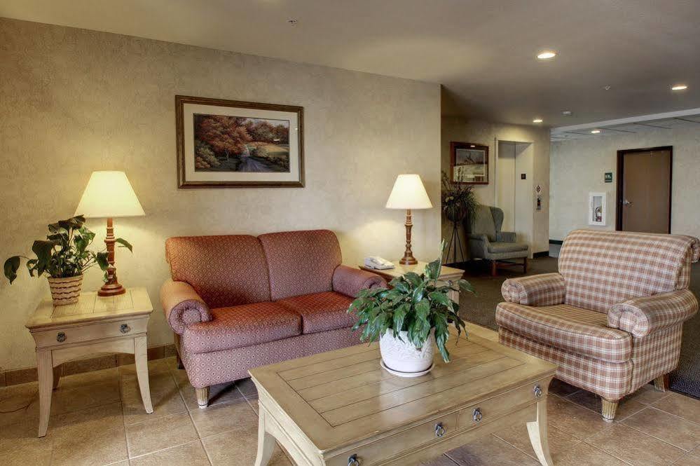 Oak Hill Inn & Suites Canton Extérieur photo